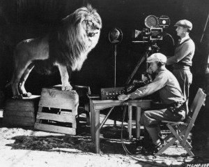 Filming the MGM roaring lion.